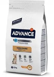 Сухий корм для собак Advance Dog Yorkshire Terrier 1.5 кг для йоркширських тер'єрів