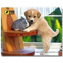 Килимок Pod Mishkou Цуценятко