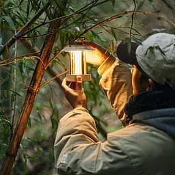 Ліхтар кемпінговий Naturehike CNH22DQ009, зелений - мініатюра 2