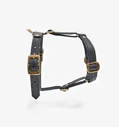 Шкіряна анатомічна шлея для собак "Classy" S чорна (обхват грудини 34-48 см) - мініатюра 3