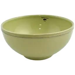 Пиала Costa Nova Friso 16.2 см 740 мл зеленая (560673995606)