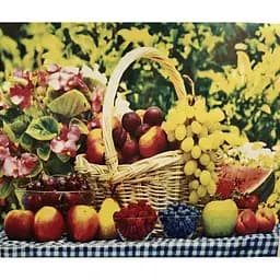 Алмазна вишивка мозаїка на підрамнику 40*30 см стразами натюрморт фрукти