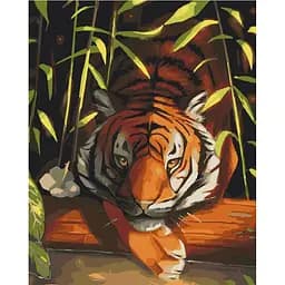 Картина за номерами ArtCraft Бенгальський тигр 40х50 см 11618-AC