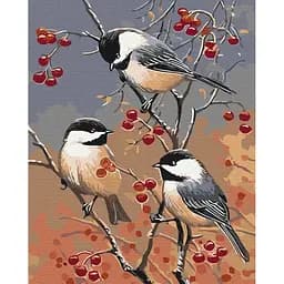 Картина по номерам на підрамнику Brushme Синички повернулись