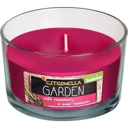 Свеча в стекле Bolsius с ароматом Citronella Розмарин 63/106 мм (890318)