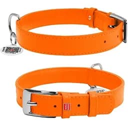 Ошейник для собак Waudog Glamour кожаный с QR паспортом, без украшений, S, Ш 20 мм, Дл 30-39 см (4820152560865)