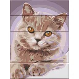 Картина по номерам по дереву "Котик" ASW150 30х40 см