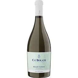 Вино ігристе Tenuta Ca'Bolani Muller Thurgau Frizzante біле сухе 10.5% 0.75 л