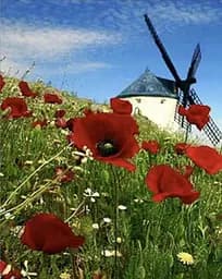 Набір для творчості алмазна картина Млин Strateg HEG86061, 30x40 см