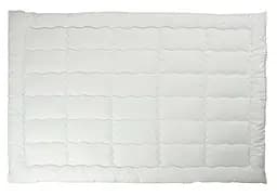 Ковдра силіконова Руно Warm Silver зимова 172х205 см 316.52_Warm Silver - мініатюра 3