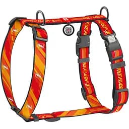 Шлея для собак анатомическая H-образная Waudog Nylon с QR-паспортом Флеш Лого р.S (343-1083)