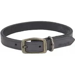 Нашийник для собак Coastal Rustic шкіряний 1.6х40см (SP03115_SLG16)