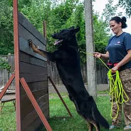 Повідець для собак Barksi Active тренувальний (довжина 5.15 м діаметр 0.7 см) салатовий - мініатюра 7