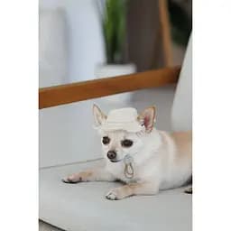 Панама Pet Fashion Gold для собак L - мініатюра 3