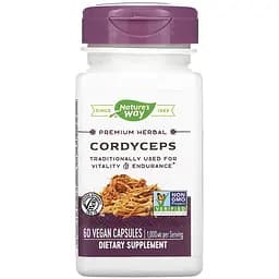 Кордицепс Nature's Way Cordyceps 500 мг 60 вегетаріанських капсул (NWY15384)
