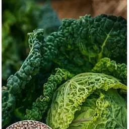 Насіння Весна на вагу Капуста Савойська ціна за 2 г (32158)