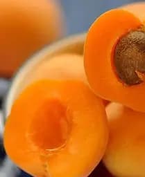 Саджанець Agro-Market Абрикос Шедевр (літній сорт, середній термін дозрівання) (39861) 1 шт. в упаковці - мініатюра 4