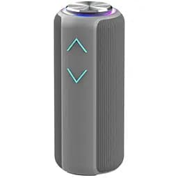 Портативна Bluetooth-колонка Hopestar P30 Pro Сірий