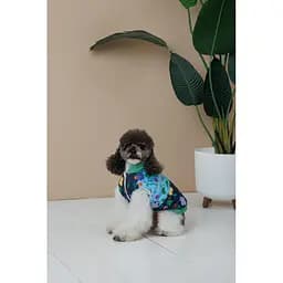 Жилет Pet Fashion Grass для собак розмір M - мініатюра 8