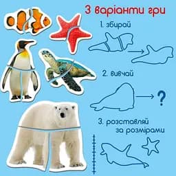Набір магнітних пазлів Magdum Magnets puzzle for baby Оcean and Sea (ML4031-35 EN) - мініатюра 4