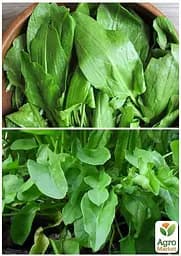 Насіння Agro-Market Щавель Товстолистий на вагу ціна за 6 г (22087) - мініатюра 4