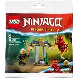 Конструктор LEGO Ninjago Битва за Храм Кая и Раптона 47 деталей (30650)
