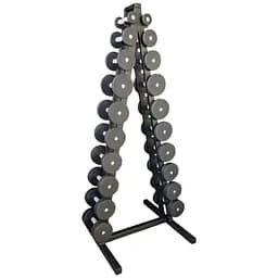 Гантельний ряд RN Sport 1-10 кг зі стійкою