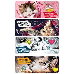 Набір ламінованих закладок для книг Апельсин АП-0902-4, 4 шт.