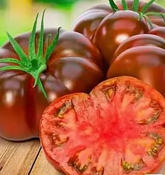 Насіння Весна на вагу Томат Зефір у шоколаді ціна за 1 г (178259)