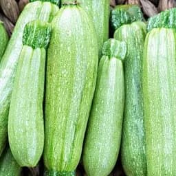 Кабачок Весна Кущовий ранній (у банці) Органік 20г (105635) - мініатюра 2