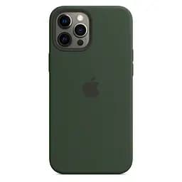 Чехол Silicone Case с MagSafe для Apple iPhone 12 Pro Max (Cyprus Green) ААА [53337]