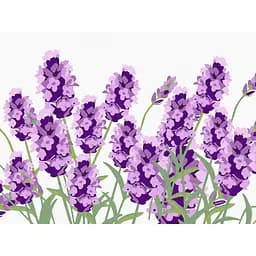 Картина за номерами Rosa Start Ніжна лаванда 15х20 см з мольбертом - мініатюра 2