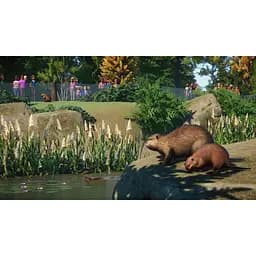 Ключ активації Microsoft Planet Zoo: Ultimate Edition для Xbox Series S/X - мініатюра 11