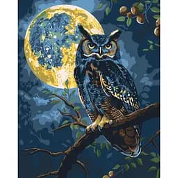 Картина по номерам "Хранитель звездного света" Art Craft 11722-AC 40х50 см