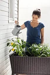 Грядка для рослин Keter Easy Grow коричнева - мініатюра 7