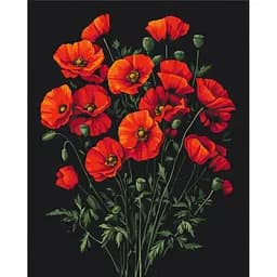Картина по номерам "Очарование маков" Brushme BS54146, 40х50 см