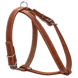 Шлея одинарная CoLLaR для мелких пород собак