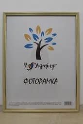 Фоторамка 30х42, бежева із золотою вставкою, 1515-7104, СКЛО + ДВП                                                                                                                                                                                                                                                                                                                                                                
