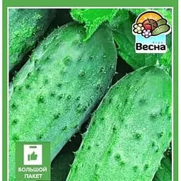 Семена Весна Огурец Источник Большой пакет 2 г (32477)