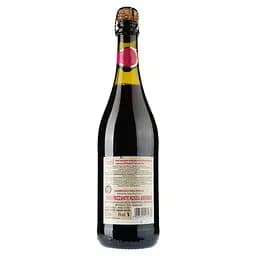 Вино ігристе Fiore di Cremona Lambrusco Dell`Emilia IGT Rosso, червоне, напівсолодке, 0,75 л - мініатюра 2