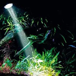 Розпилювач з LED освітленням Hobby Bubble Air Spot colour & moon (00677) - мініатюра 5
