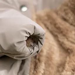 Комбінезон Pet Fashion Ego для собак, розмір XS, бежевий - мініатюра 4