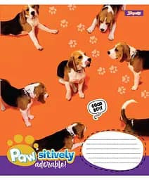 Зошит 1 вересня Pawsitively А5, 24 аркуша в лінію (768241) - мініатюра 5