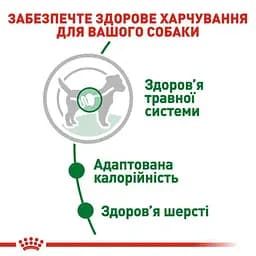 Вологий корм Royal Canin Mini Adult для дорослих собак дрібних порід 1.02 кг (12 шт. х 85 г) - мініатюра 6