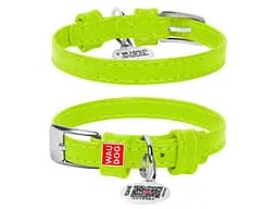 Ошейник для животных WAUDOG Glamour с QR паспортом без украшений XS Ш 9 мм салатовый (32005)