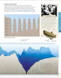Ocean. A Children's Encyclopedia - мініатюра 5