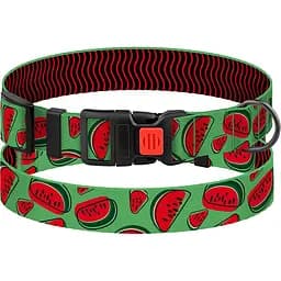 Нашийник для собак BronzeDog Urban Fruits XL