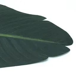 Штучне листя Engard Banana Tree 92 см (TW-52) - мініатюра 4