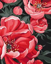 Картина за номерами на підрамнику Brushme Квітковий етюд Lunatart