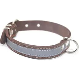 Нашийник для собак Zoo-hunt шкіряний зі світловідбивачем коричневий ОО 1,8/28-36 см